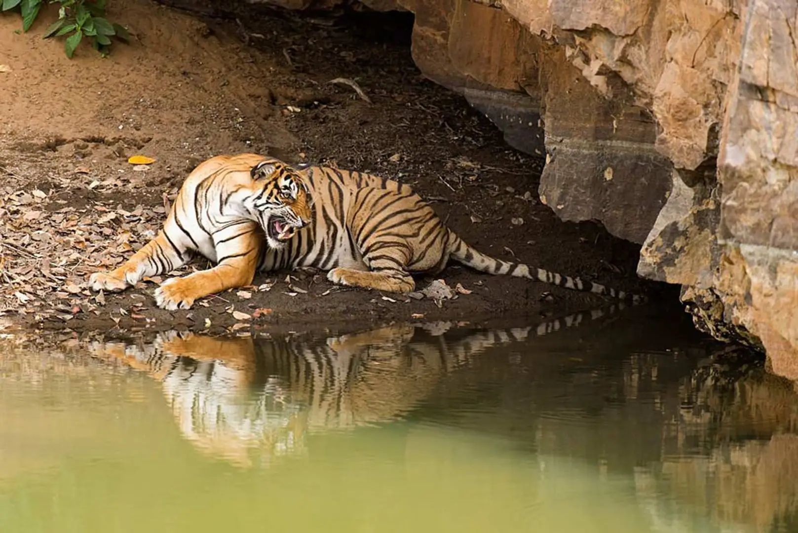 68b914da1f629fb7a27f79b3